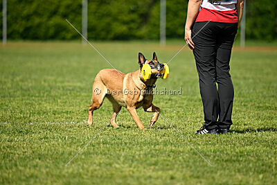 Esperanza Exe de Marina de los Molinos