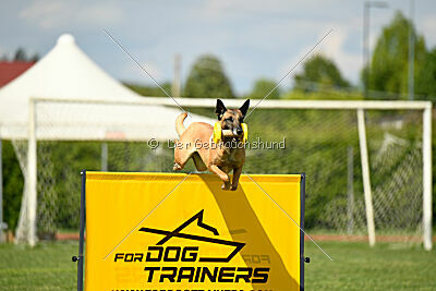 Esperanza Exe de Marina de los Molinos