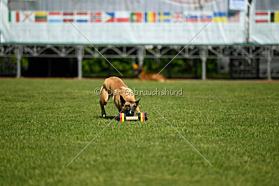 Esperanza Exe de Marina de los Molinos