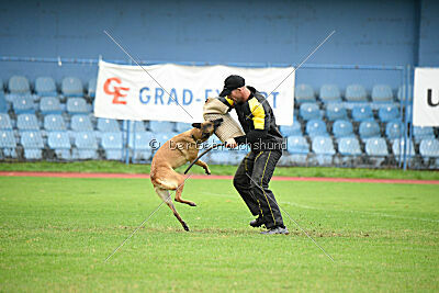 Esperanza Exe de Marina de los Molinos