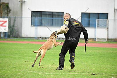 Esperanza Exe de Marina de los Molinos