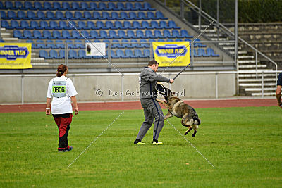 Esprit vom Verdener Wappen