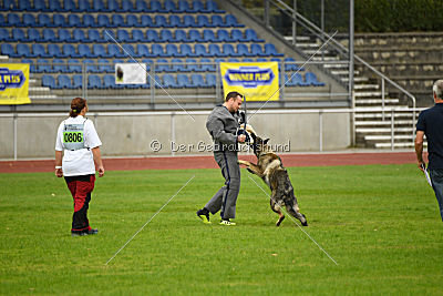 Esprit vom Verdener Wappen