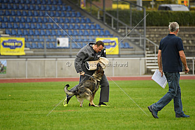 Esprit vom Verdener Wappen