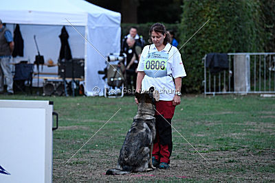 Esprit vom Verdener Wappen