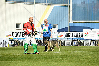 Estrellest Queenwolf Aku