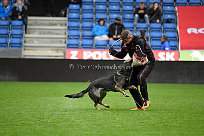 Estrellest von Väle Virtin