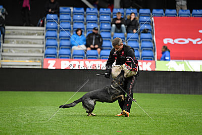 Estrellest von Väle Virtin