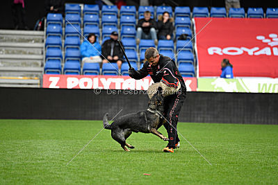 Estrellest von Väle Virtin