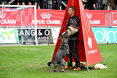 Estrellest von Väle Virtin