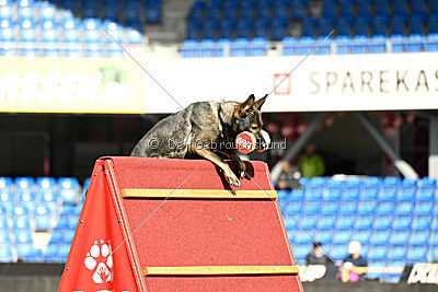 Estrellest von Väle Virtin