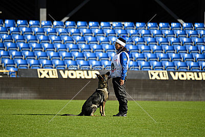 Estrellest von Väle Virtin