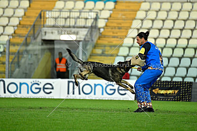 Estrellest von Vector