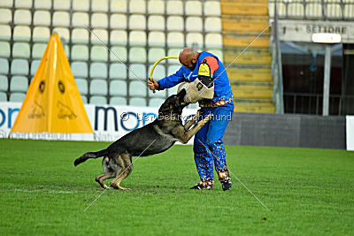 Estrellest von Vector