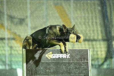 Estrellest von Vector