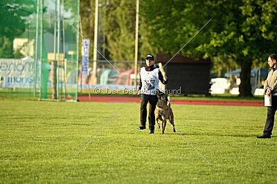 Evolution ot Vitosha