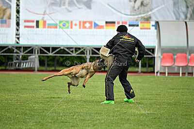 Evolution ot Vitosha