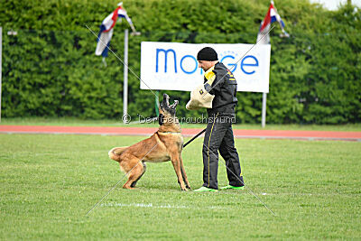 Evolution ot Vitosha