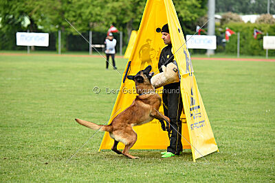 Evolution ot Vitosha