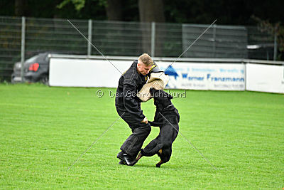 Excalibur von der Rasselbande