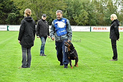 Excalibur von der Rasselbande