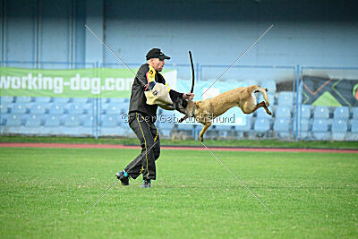 Exploze z Údolí Jizery