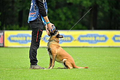 F'Nikita Lobo Grande