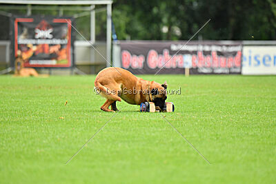 F'Nikita Lobo Grande