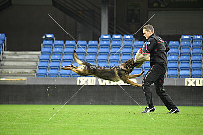 Fado vom dunklen Zwinger