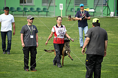 Falco Marshall Dogs