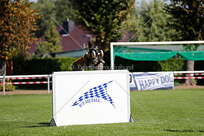 Falk chateau Schönwalde