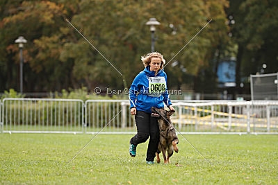 Fame vom dunklen Zwinger