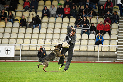 Fame vom dunklen Zwinger