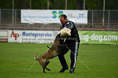 Fanny vom Lausitzeck