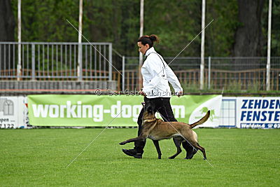 Fanny vom Lausitzeck