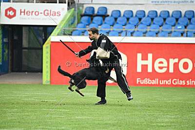 Fanny von Schloß Bothmer