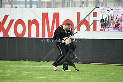 Fanny von Schloß Bothmer