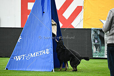 Fanny von Schloß Bothmer