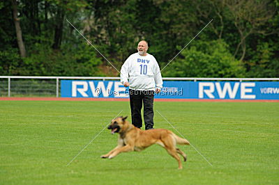 Fanta von der goldenen Bernsteinsonne