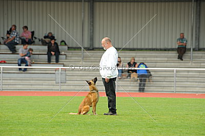 Fanta von der goldenen Bernsteinsonne