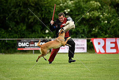 Fantessa vom Streitwald
