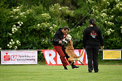 Fantessa vom Streitwald