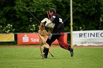 Fantessa vom Streitwald