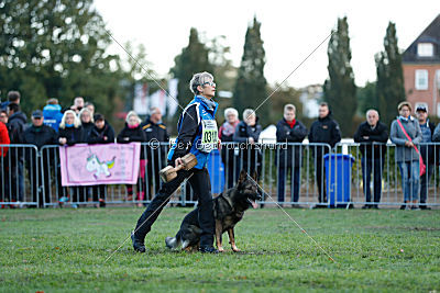 Farello vom Hilsblick