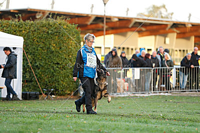 Farello vom Hilsblick