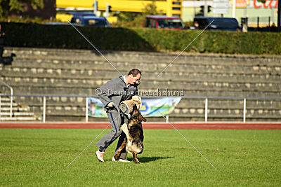 Farello vom Hilsblick