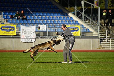 Farello vom Hilsblick