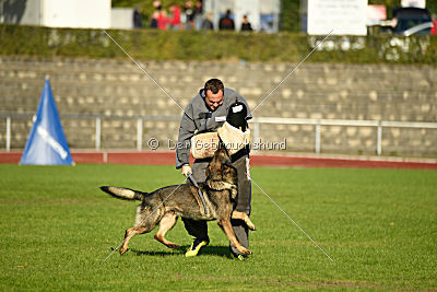 Farello vom Hilsblick