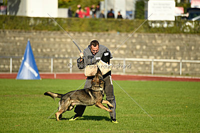 Farello vom Hilsblick