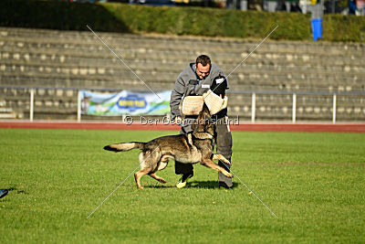 Farello vom Hilsblick